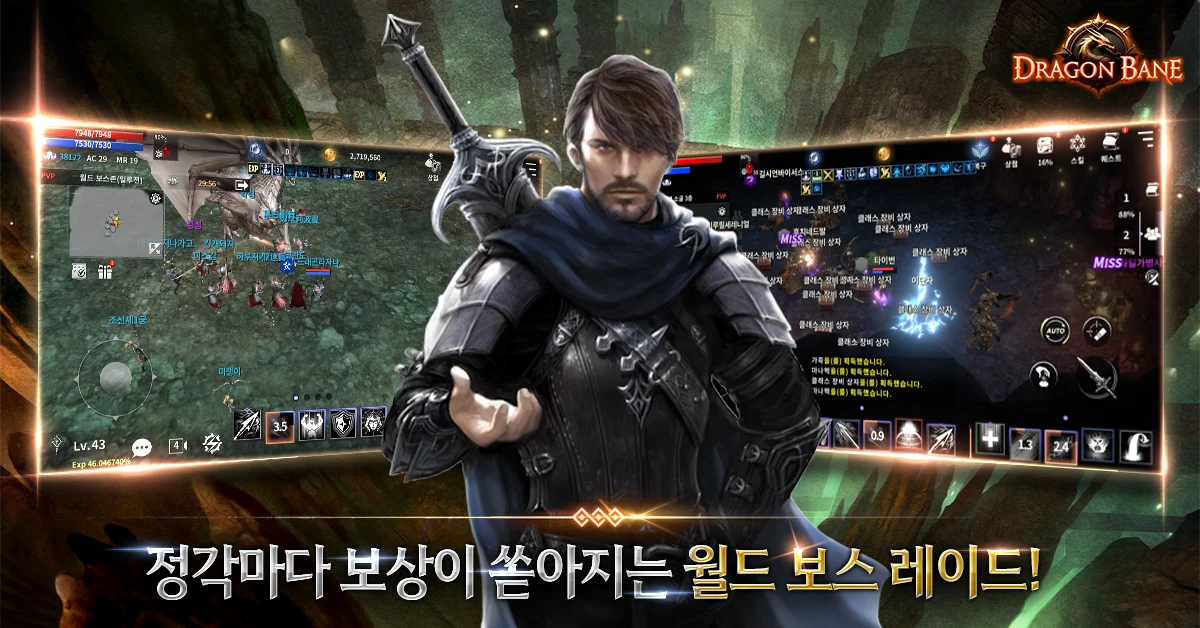 드래곤 베인 screenshot